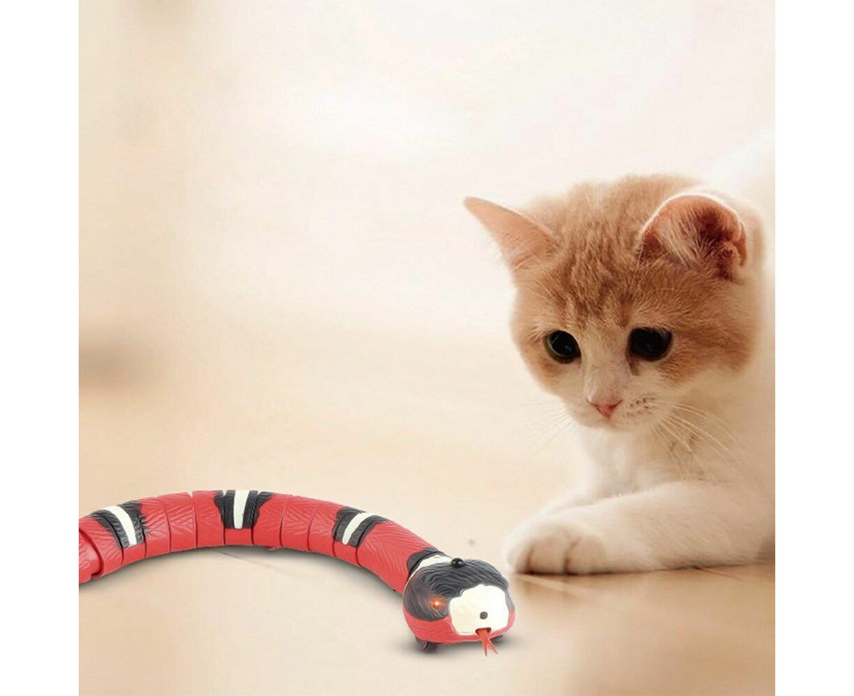 Cat Toy Smart Sensing Snake Toys Pet Cats USB Charging Electron Interactive Toy